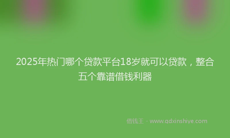 2025年热门哪个贷款平台18岁就可以贷款，整合五个靠谱借钱利器