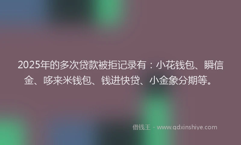 2025年的多次贷款被拒记录有：小花钱包、瞬信金、哆来米钱包、钱进快贷、小金象分期等。