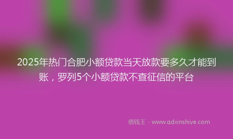 2025年热门合肥小额贷款当天放款要多久才能到账，罗列5个小额贷款不查征信的平台