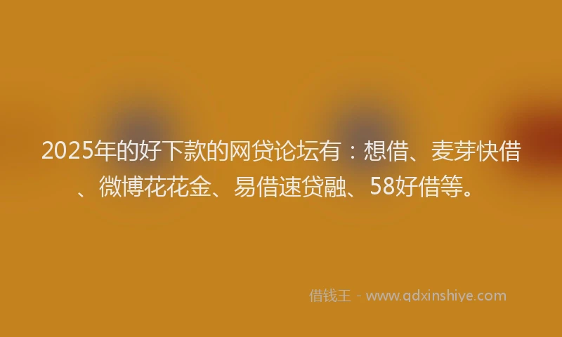 2025年的好下款的网贷论坛有：想借、麦芽快借、微博花花金、易借速贷融、58好借等。