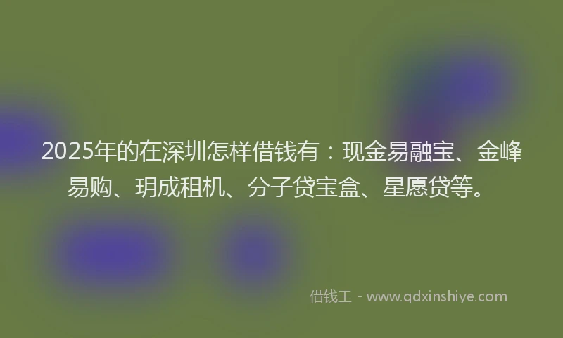 2025年的在深圳怎样借钱有：现金易融宝、金峰易购、玥成租机、分子贷宝盒、星愿贷等。