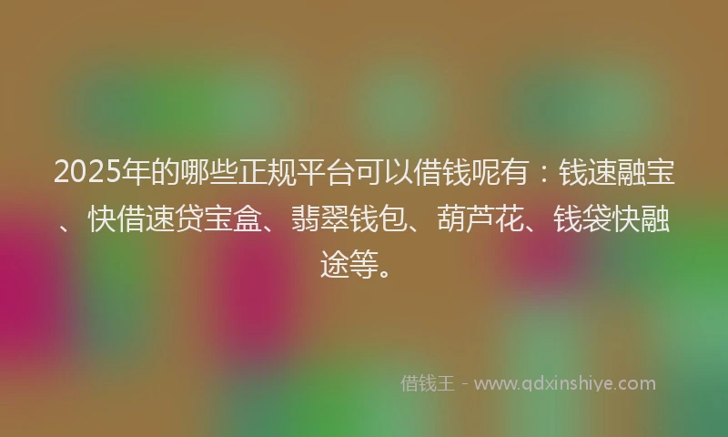 2025年的哪些正规平台可以借钱呢有：钱速融宝、快借速贷宝盒、翡翠钱包、葫芦花、钱袋快融途等。