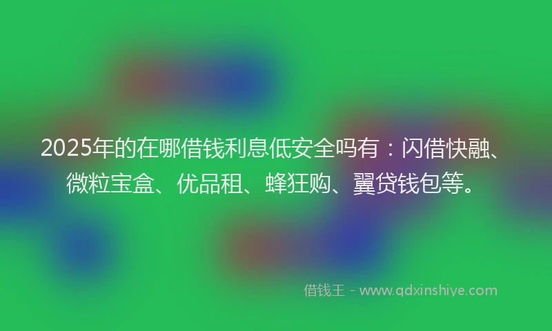2025年的在哪借钱利息低安全吗有：闪借快融、微粒宝盒、优品租、蜂狂购、翼贷钱包等。