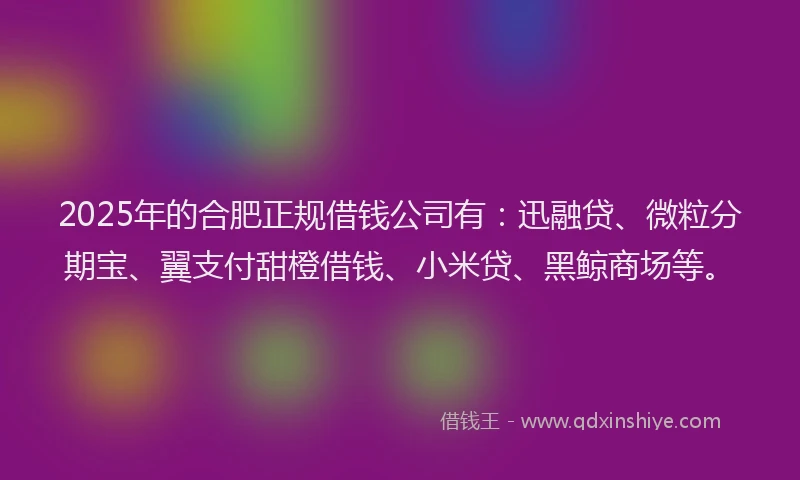2025年的合肥正规借钱公司有：迅融贷、微粒分期宝、翼支付甜橙借钱、小米贷、黑鲸商场等。