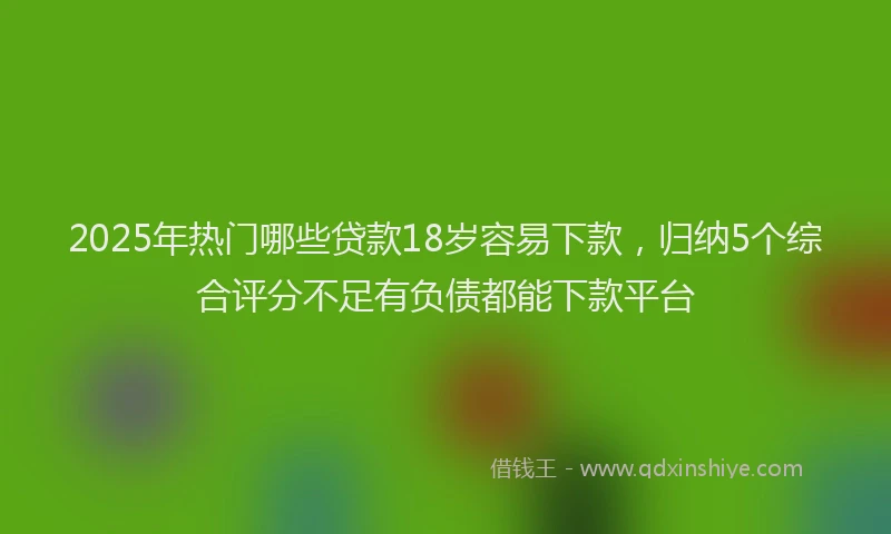 2025年热门哪些贷款18岁容易下款，归纳5个综合评分不足有负债都能下款平台