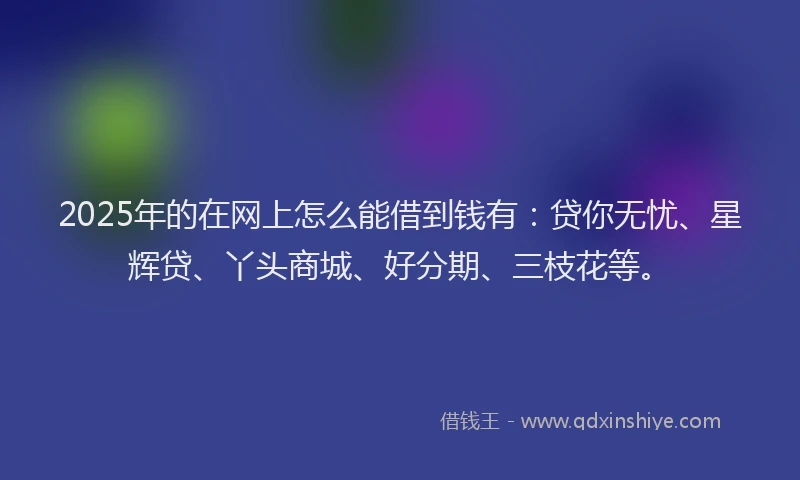 2025年的在网上怎么能借到钱有：贷你无忧、星辉贷、丫头商城、好分期、三枝花等。