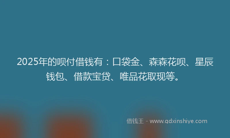 2025年的呗付借钱有：口袋金、森森花呗、星辰钱包、借款宝贷、唯品花取现等。