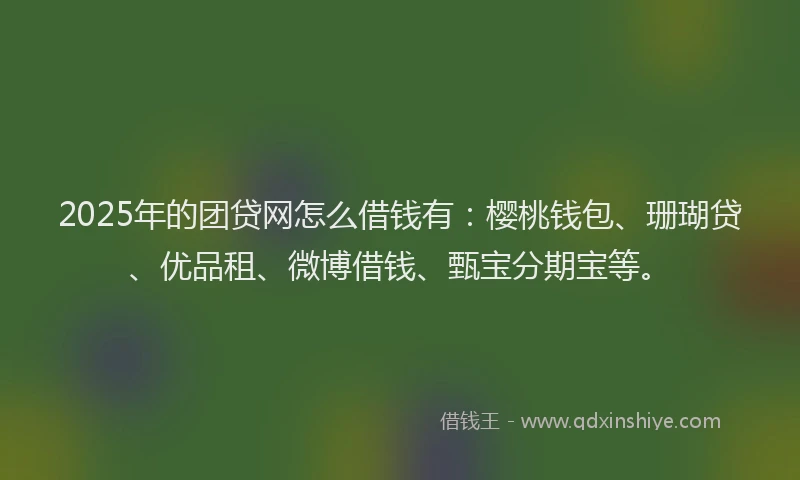 2025年的团贷网怎么借钱有：樱桃钱包、珊瑚贷、优品租、微博借钱、甄宝分期宝等。