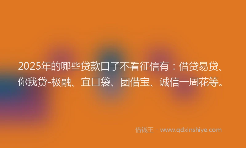 2025年的哪些贷款口子不看征信有：借贷易贷、你我贷-极融、宜口袋、团借宝、诚信一周花等。