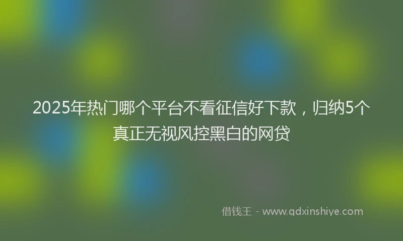 2025年热门哪个平台不看征信好下款，归纳5个真正无视风控黑白的网贷