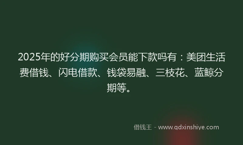 2025年的好分期购买会员能下款吗有：美团生活费借钱、闪电借款、钱袋易融、三枝花、蓝鲸分期等。