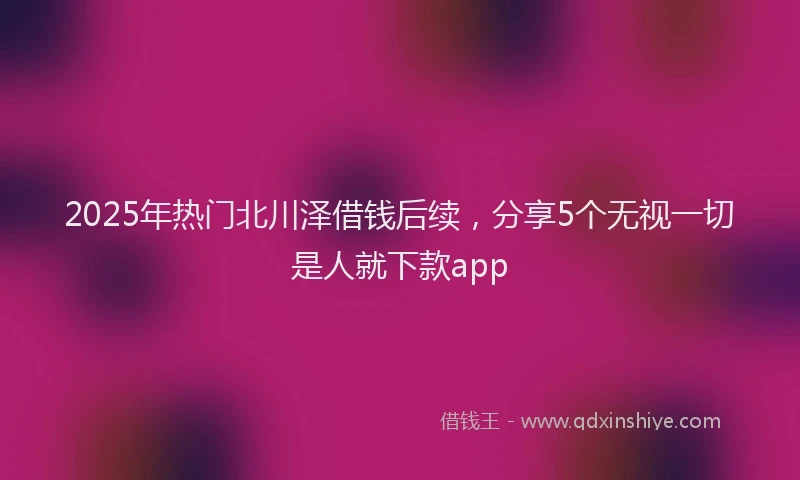 2025年热门北川泽借钱后续，分享5个无视一切是人就下款app