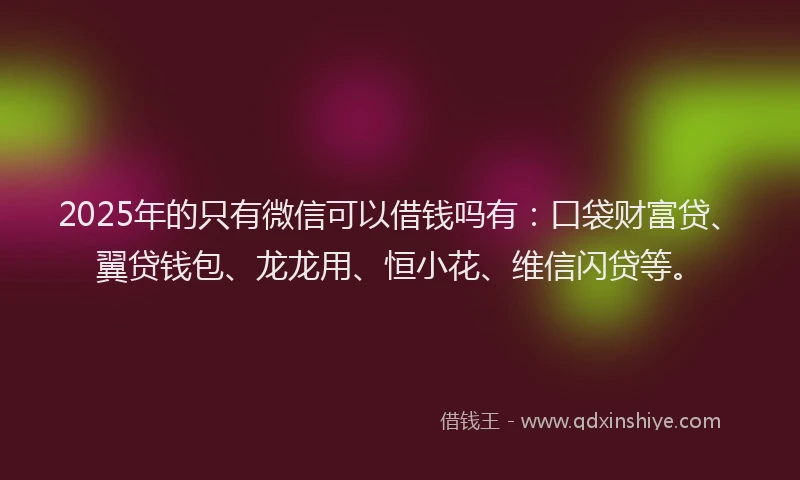 2025年的只有微信可以借钱吗有：口袋财富贷、翼贷钱包、龙龙用、恒小花、维信闪贷等。