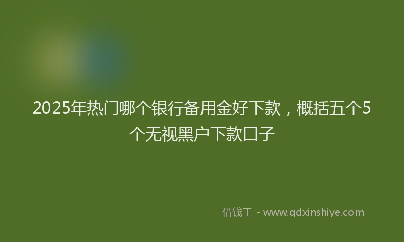2025年热门哪个银行备用金好下款，概括五个5个无视黑户下款口子