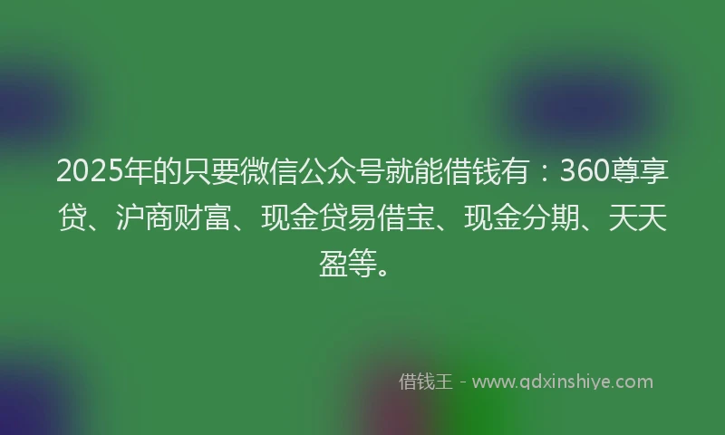 2025年的只要微信公众号就能借钱有：360尊享贷、沪商财富、现金贷易借宝、现金分期、天天盈等。