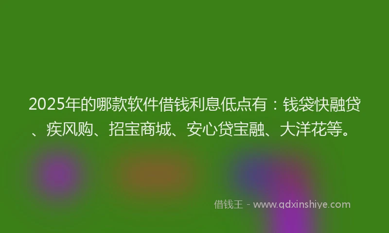 2025年的哪款软件借钱利息低点有：钱袋快融贷、疾风购、招宝商城、安心贷宝融、大洋花等。