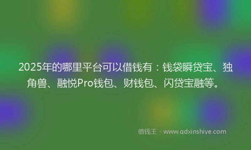 2025年的哪里平台可以借钱有：钱袋瞬贷宝、独角兽、融悦Pro钱包、财钱包、闪贷宝融等。