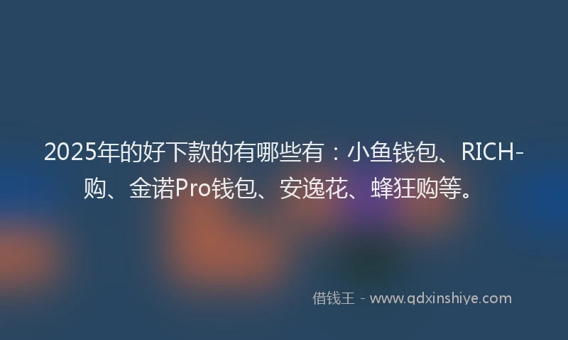 2025年的好下款的有哪些有：小鱼钱包、RICH-购、金诺Pro钱包、安逸花、蜂狂购等。