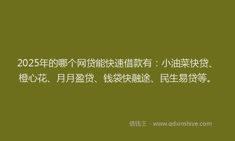 2025年的哪个网贷能快速借款有：小油菜快贷、橙心花、月月盈贷、钱袋快融途、民生易贷等。