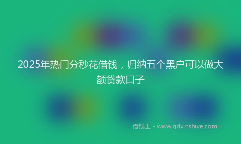 2025年热门分秒花借钱，归纳五个黑户可以做大额贷款口子