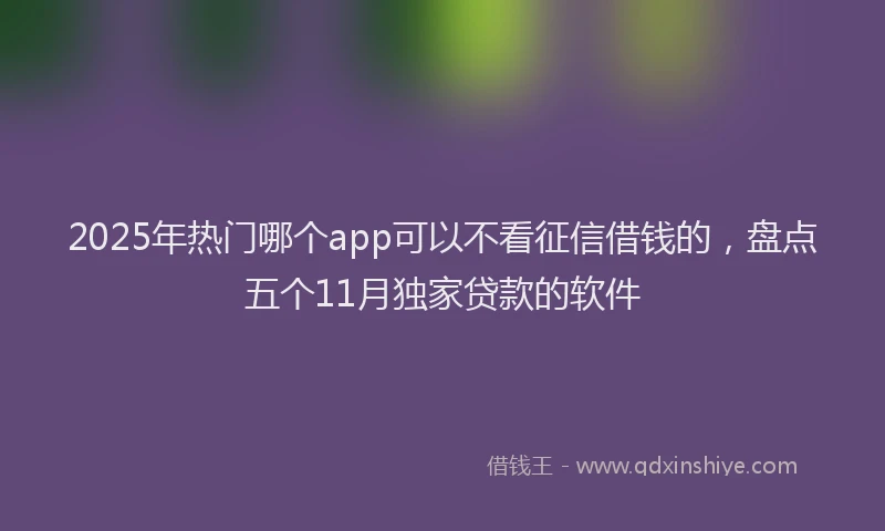 2025年热门哪个app可以不看征信借钱的，盘点五个11月独家贷款的软件
