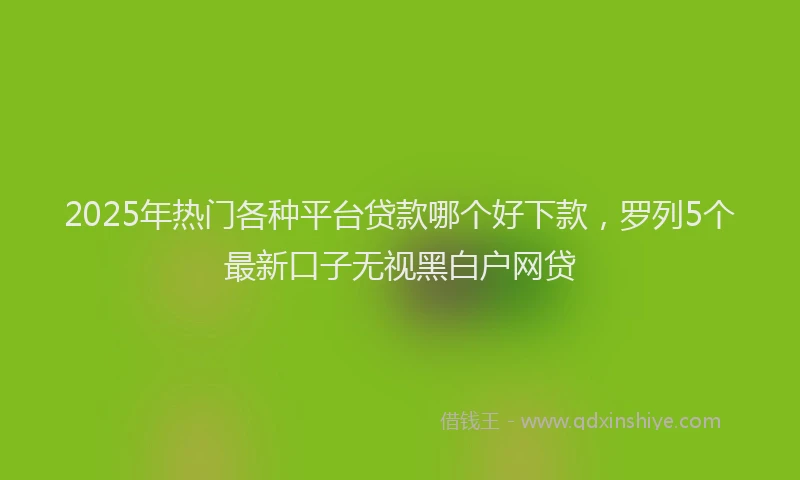 2025年热门各种平台贷款哪个好下款，罗列5个最新口子无视黑白户网贷