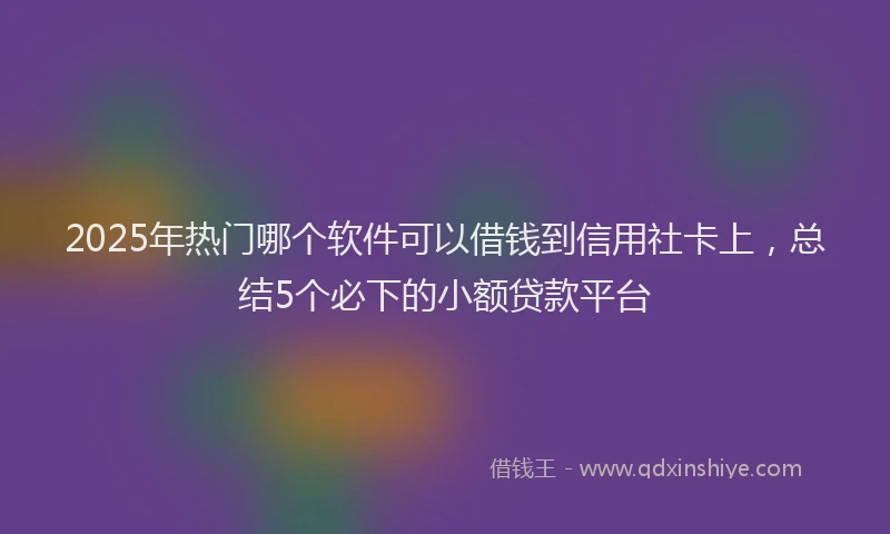 2025年热门哪个软件可以借钱到信用社卡上，总结5个必下的小额贷款平台