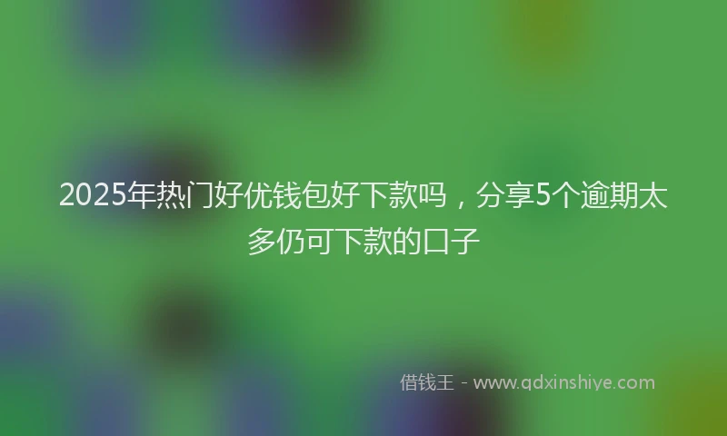 2025年热门好优钱包好下款吗，分享5个逾期太多仍可下款的口子