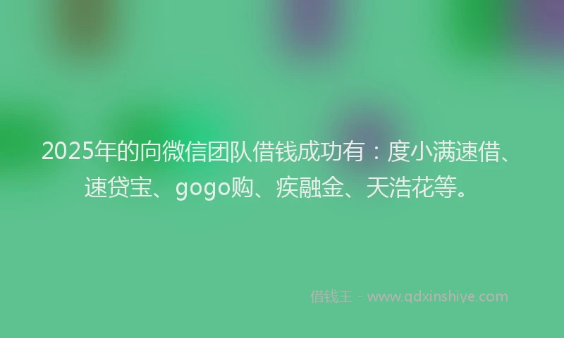 2025年的向微信团队借钱成功有：度小满速借、速贷宝、gogo购、疾融金、天浩花等。