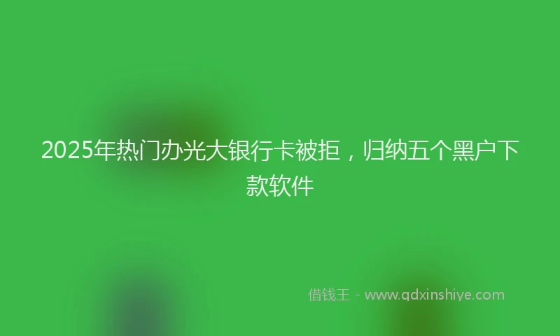 2025年热门办光大银行卡被拒，归纳五个黑户下款软件
