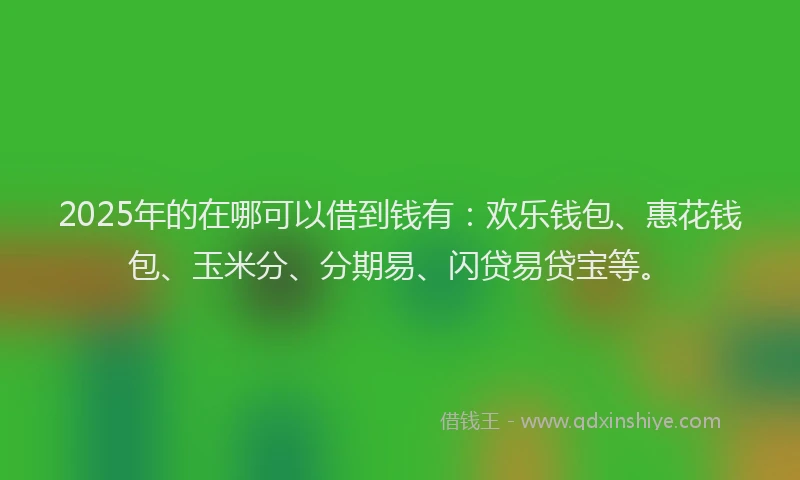 2025年的在哪可以借到钱有：欢乐钱包、惠花钱包、玉米分、分期易、闪贷易贷宝等。