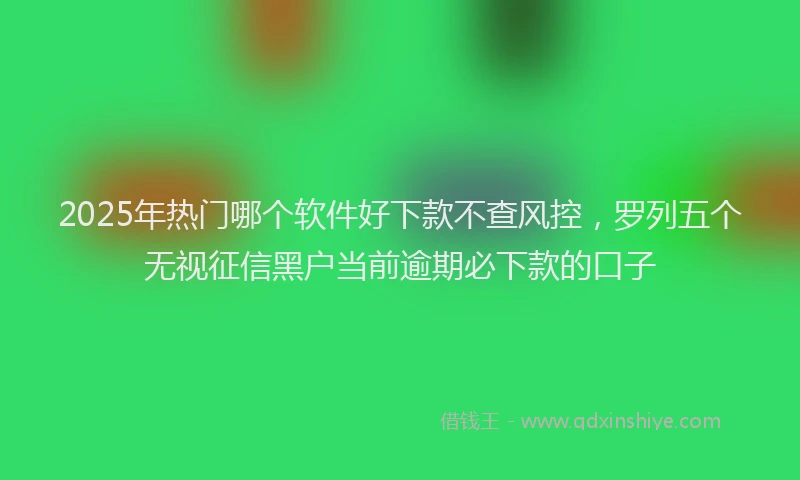 2025年热门哪个软件好下款不查风控，罗列五个无视征信黑户当前逾期必下款的口子