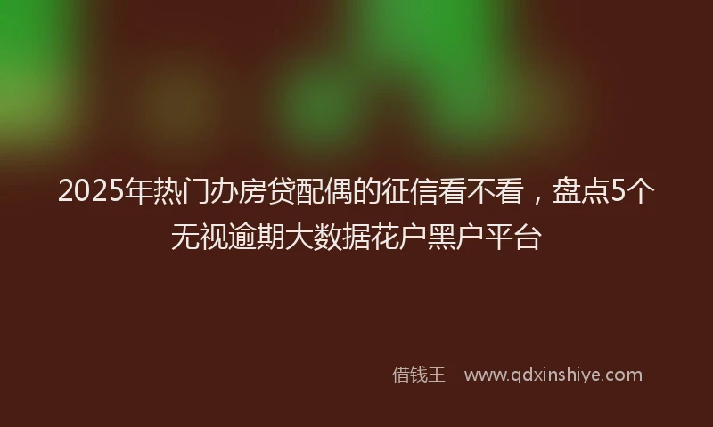 2025年热门办房贷配偶的征信看不看，盘点5个无视逾期大数据花户黑户平台