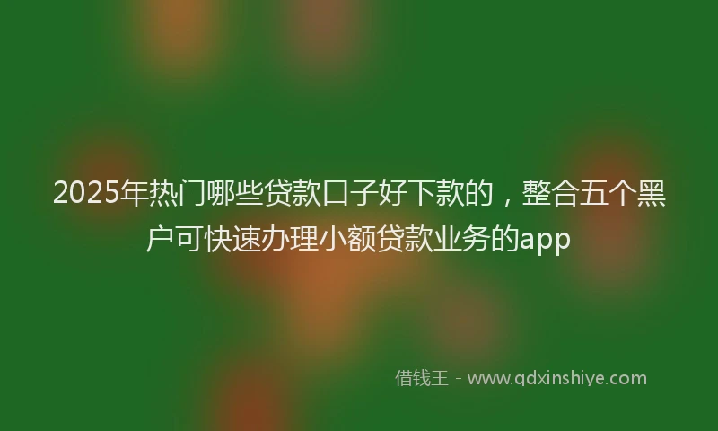 2025年热门哪些贷款口子好下款的，整合五个黑户可快速办理小额贷款业务的app