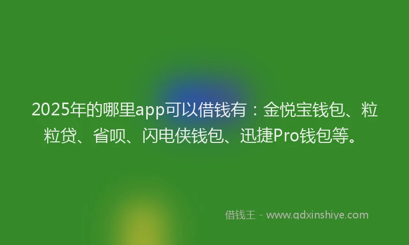 2025年的哪里app可以借钱有：金悦宝钱包、粒粒贷、省呗、闪电侠钱包、迅捷Pro钱包等。