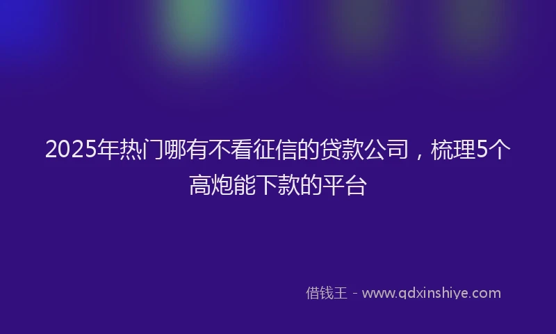 2025年热门哪有不看征信的贷款公司，梳理5个高炮能下款的平台