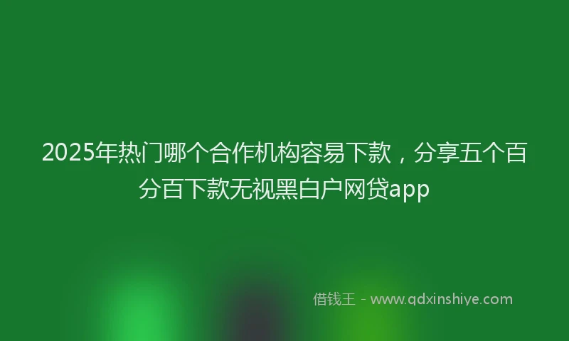 2025年热门哪个合作机构容易下款，分享五个百分百下款无视黑白户网贷app