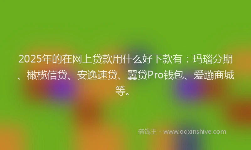 2025年的在网上贷款用什么好下款有：玛瑙分期、橄榄信贷、安逸速贷、翼贷Pro钱包、爱蹦商城等。