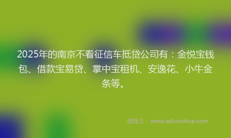 2025年的南京不看征信车抵贷公司有：金悦宝钱包、借款宝易贷、掌中宝租机、安逸花、小牛金条等。