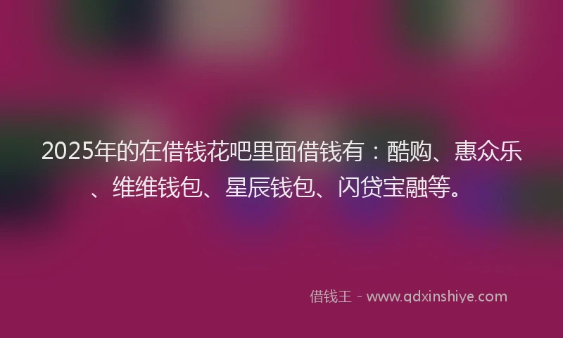 2025年的在借钱花吧里面借钱有：酷购、惠众乐、维维钱包、星辰钱包、闪贷宝融等。