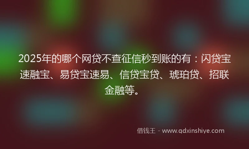 2025年的哪个网贷不查征信秒到账的有：闪贷宝速融宝、易贷宝速易、信贷宝贷、琥珀贷、招联金融等。