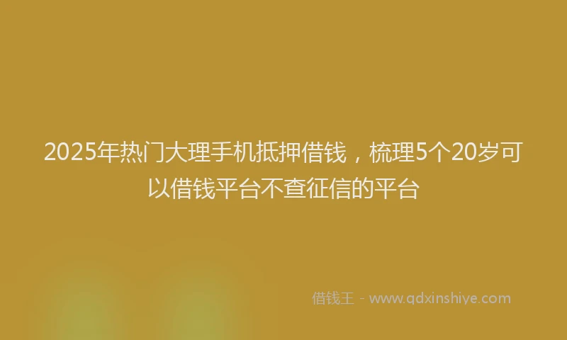 2025年热门大理手机抵押借钱，梳理5个20岁可以借钱平台不查征信的平台