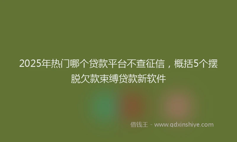 2025年热门哪个贷款平台不查征信，概括5个摆脱欠款束缚贷款新软件