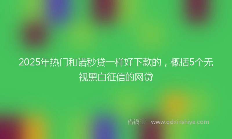 2025年热门和诺秒贷一样好下款的，概括5个无视黑白征信的网贷