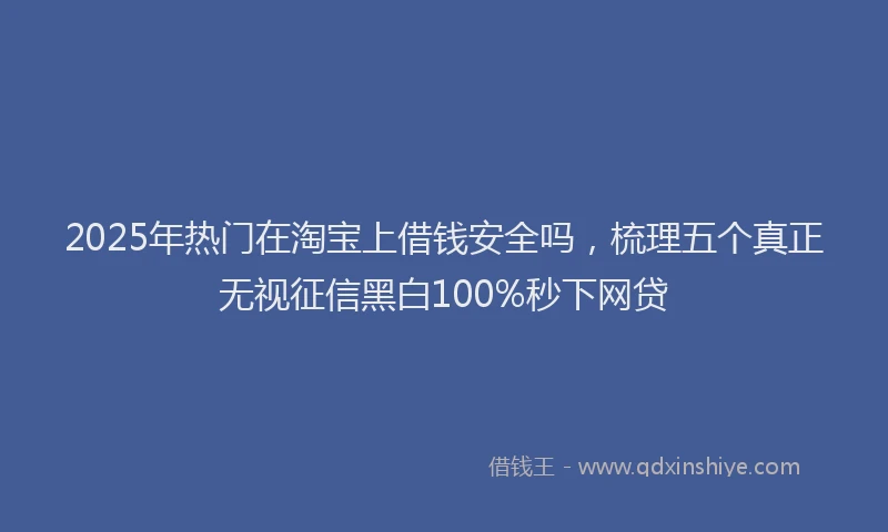 2025年热门在淘宝上借钱安全吗，梳理五个真正无视征信黑白100%秒下网贷