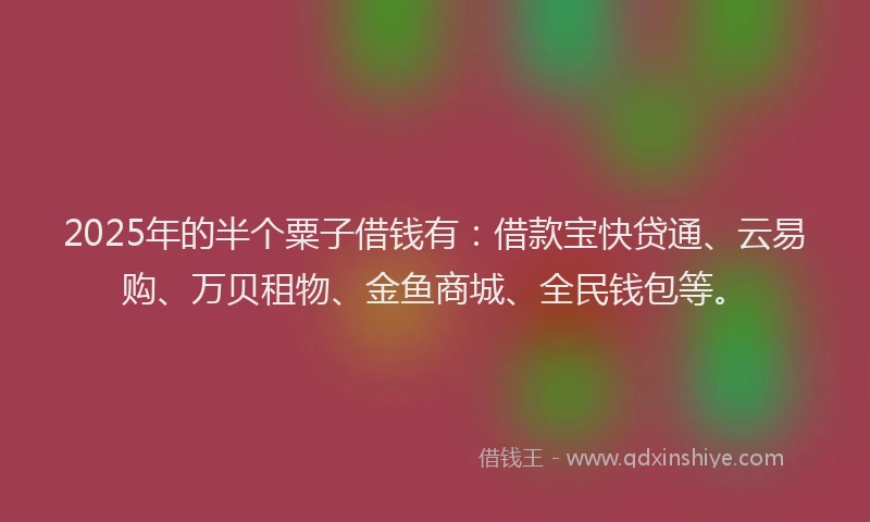 2025年的半个粟子借钱有：借款宝快贷通、云易购、万贝租物、金鱼商城、全民钱包等。