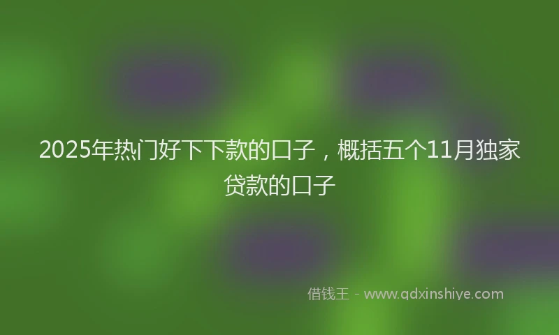 2025年热门好下下款的口子，概括五个11月独家贷款的口子