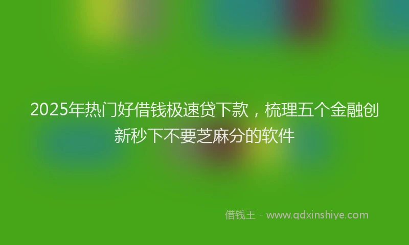 2025年热门好借钱极速贷下款，梳理五个金融创新秒下不要芝麻分的软件