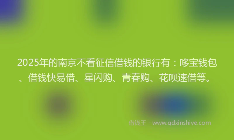 2025年的南京不看征信借钱的银行有：哆宝钱包、借钱快易借、星闪购、青春购、花呗速借等。