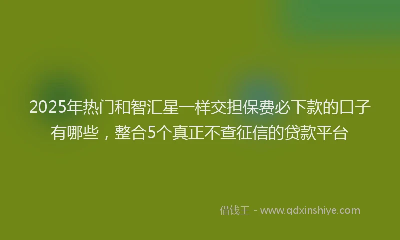 2025年热门和智汇星一样交担保费必下款的口子有哪些，整合5个真正不查征信的贷款平台